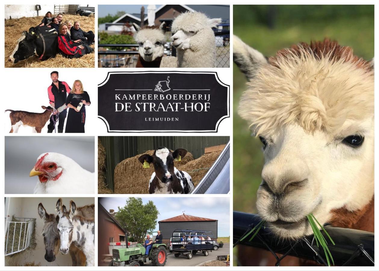 Herberg Boerderij De Straat-Hof Bed and Breakfast Leimuiden Esterno foto