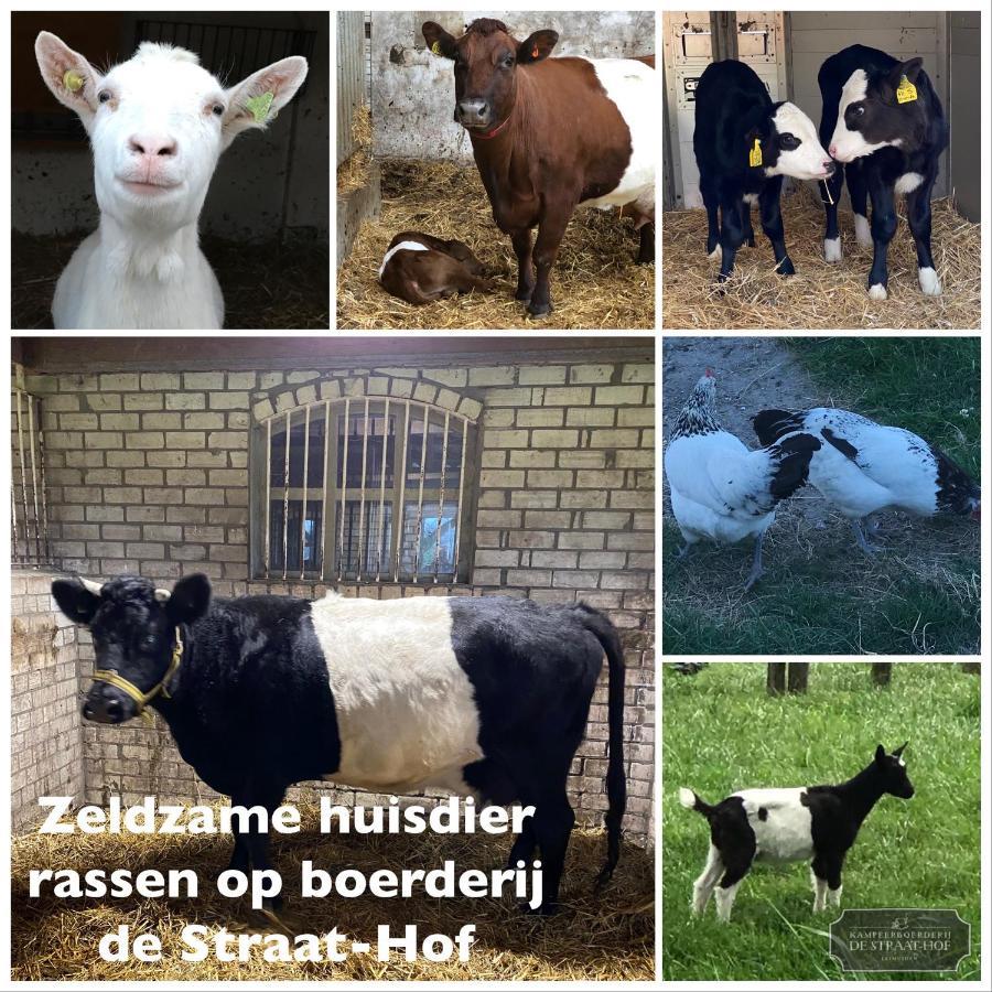 Herberg Boerderij De Straat-Hof Bed and Breakfast Leimuiden Esterno foto